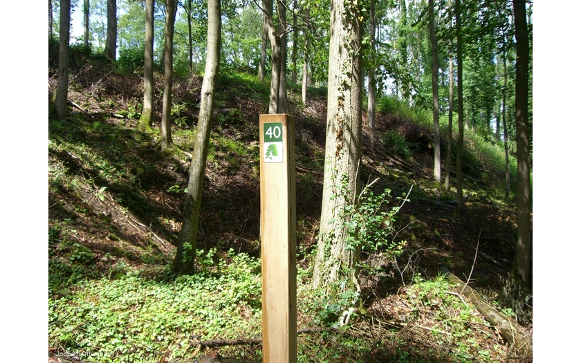 Wegezeichen Kurfürstlicher Thiergarten